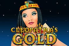 Casino Intense game-thumb